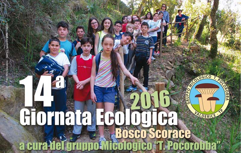 giornata ecologica 2016MR