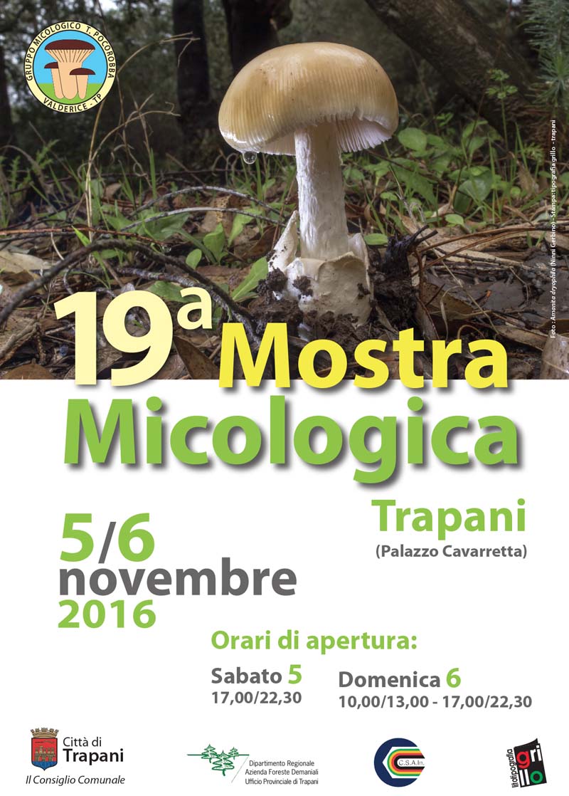 mostra micologica tpR