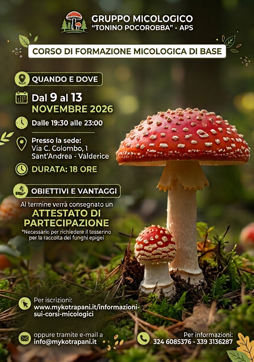 corso base novembre 2026