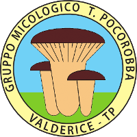Gruppo Micologico  "T. Pocorobba"