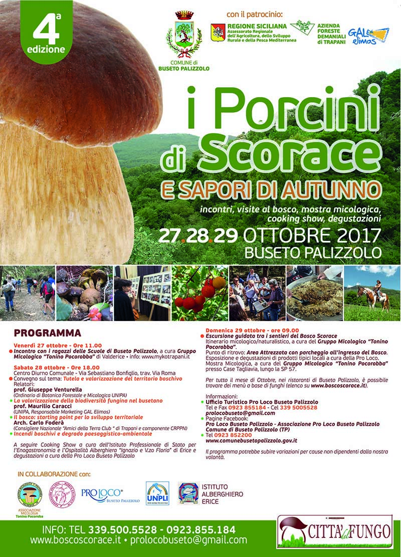 porciniscorace017 0